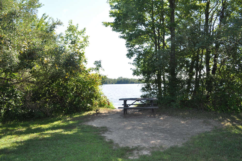 memorial-lake-picnic