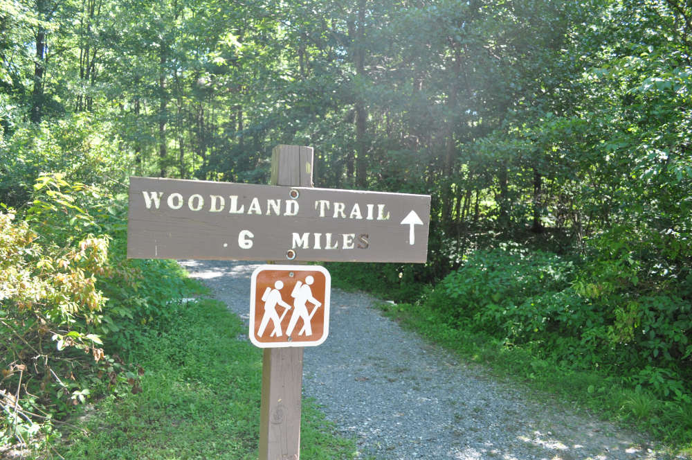 memorial-lake-trail-sign